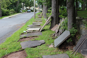 Blue Stone Sidewalk