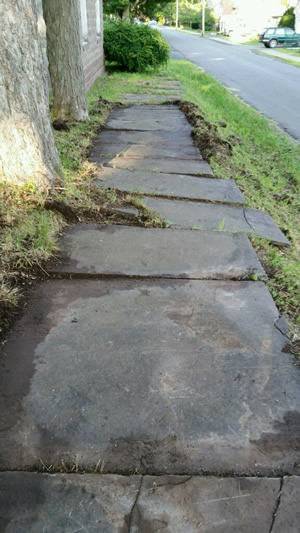 Blue Stone Sidewalk