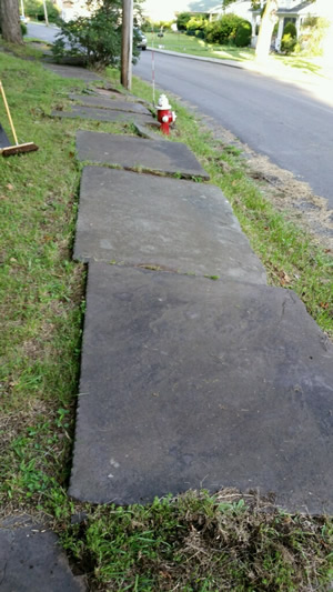 Blue Stone Sidewalk