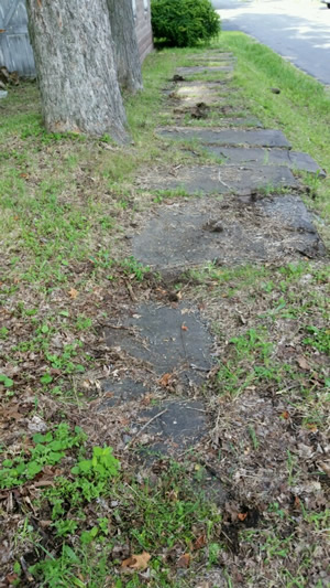 Blue Stone Sidewalk