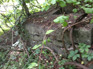 Blue Stone Wall