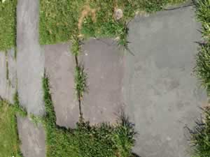 Blue Stone Sidewalk