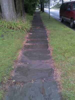 Blue Stone Sidewalk