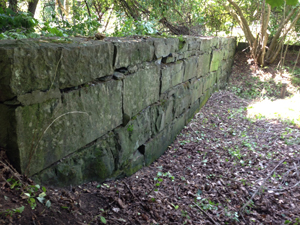 Blue Stone Wall