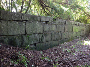 Blue Stone Wall