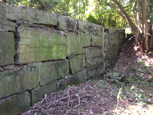 Blue Stone Wall