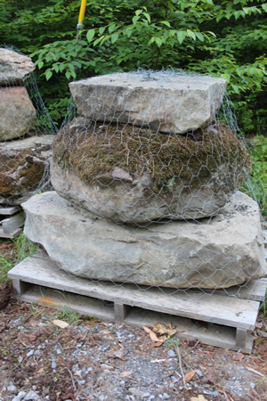Blue Stone Sidewalk