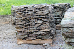 Blue Stone Sidewalk