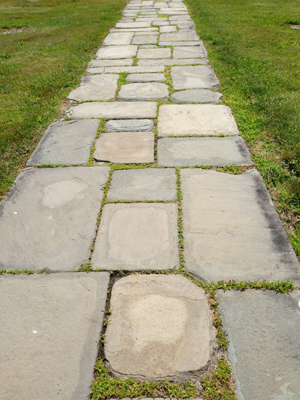 Blue Stone Sidewalk